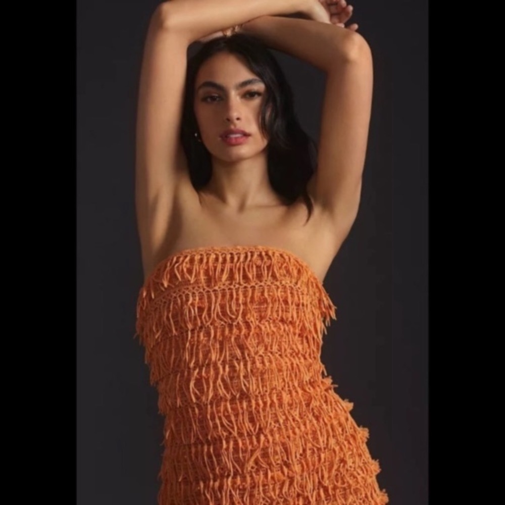 NWT Let Me Be Anthro Fringe Dress
